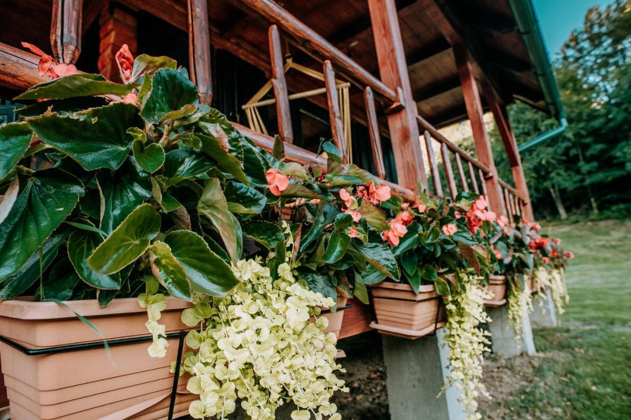 Chalet Koliba Sume Pjevaju - Robinzonski Smjestaj, Struja 12 V, Voda Iz Cisterne *