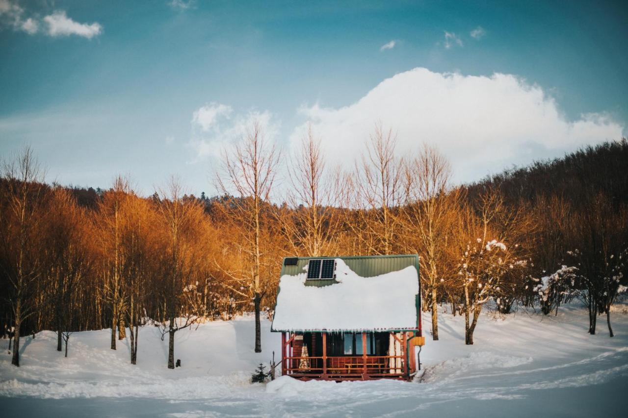 Koliba Sume Pjevaju - Robinzonski Smjestaj, Struja 12 V, Voda Iz Cisterne Chalet Mrkopalj