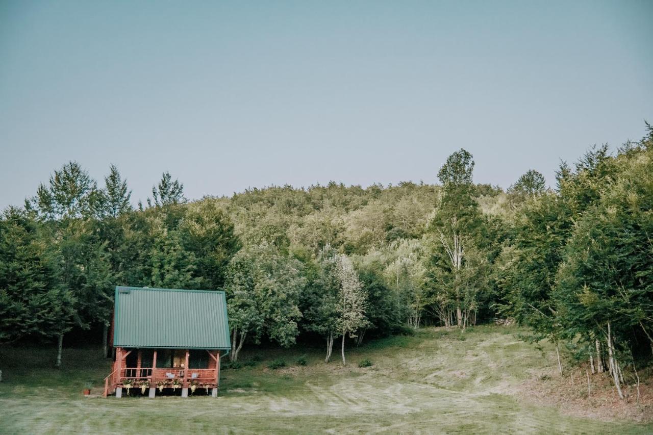 Domek alpejski Koliba Sume Pjevaju - Robinzonski Smjestaj, Struja 12 V, Voda Iz Cisterne *